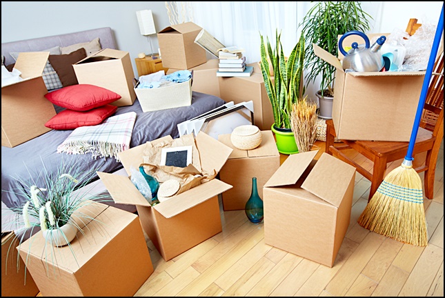 파주용달이사 PC 이미지 702452